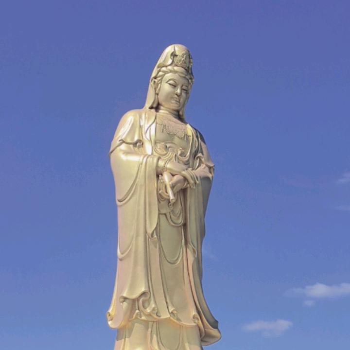 周口人。香伶