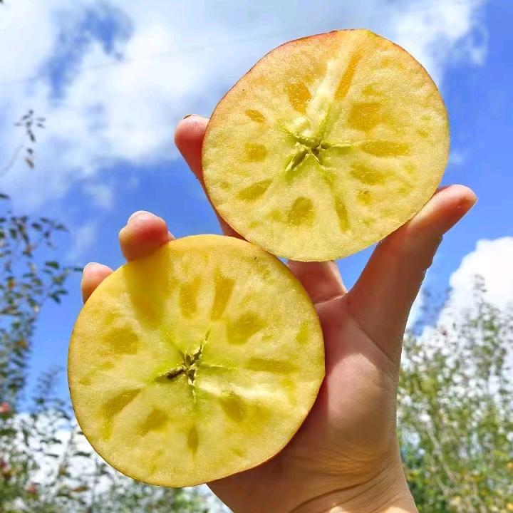 小海果业