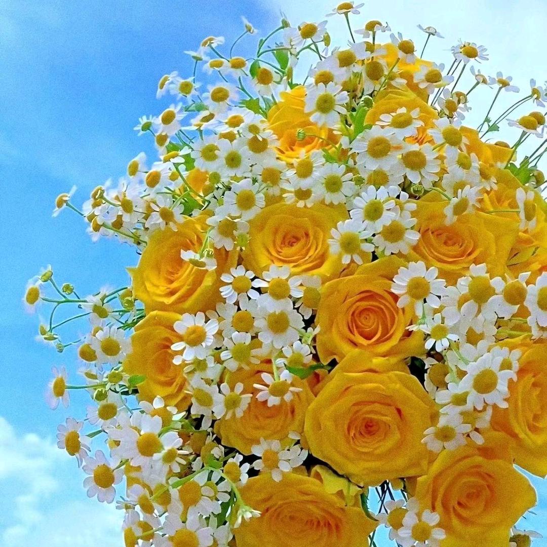 🌸