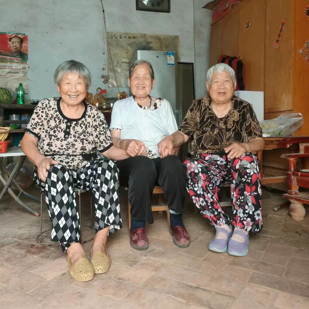 宗氏三支花@ 4251 199 5404