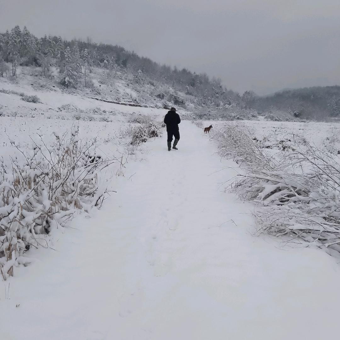 农业户