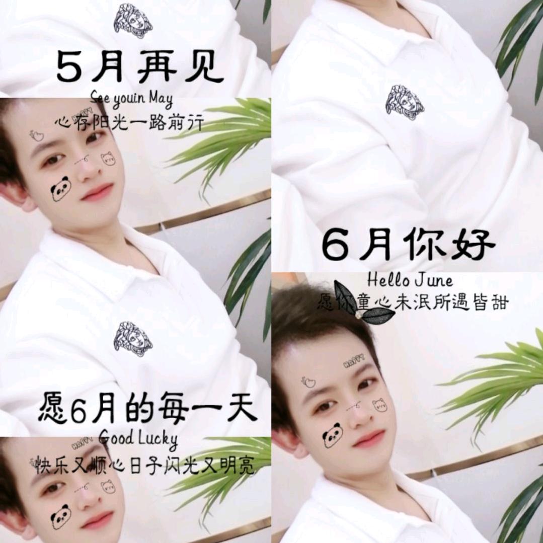 一往情深