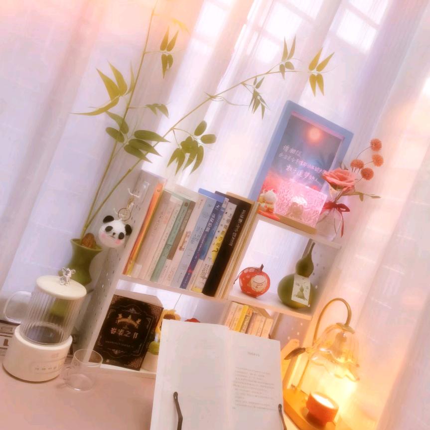 治愈你的一平方