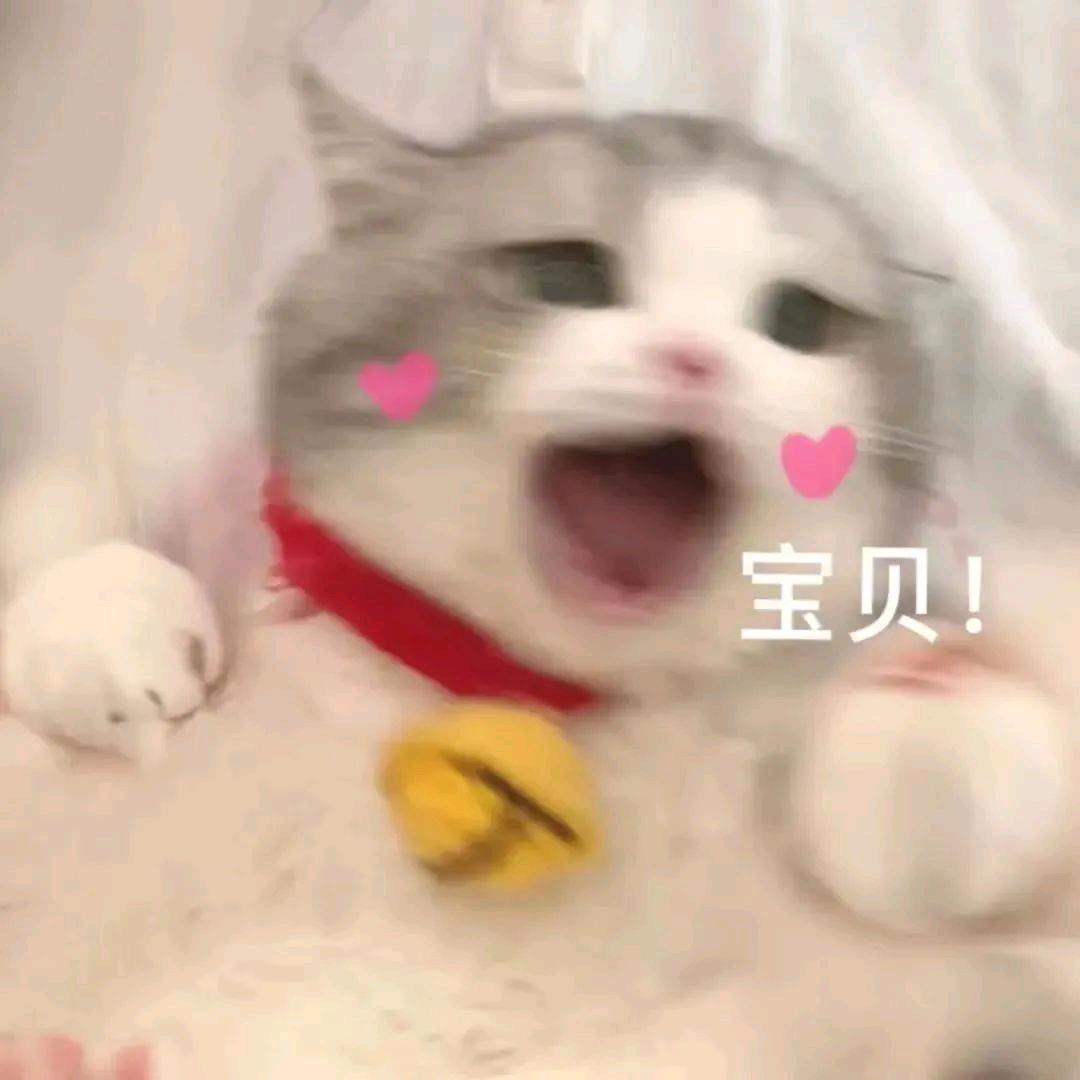 今天早点睡觉