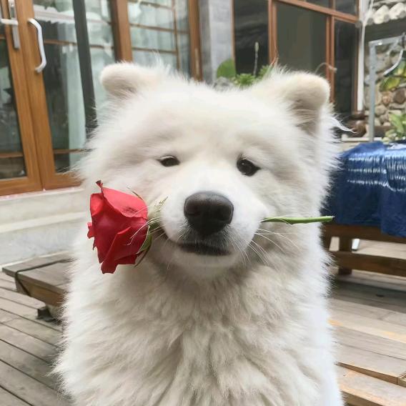 立秋@