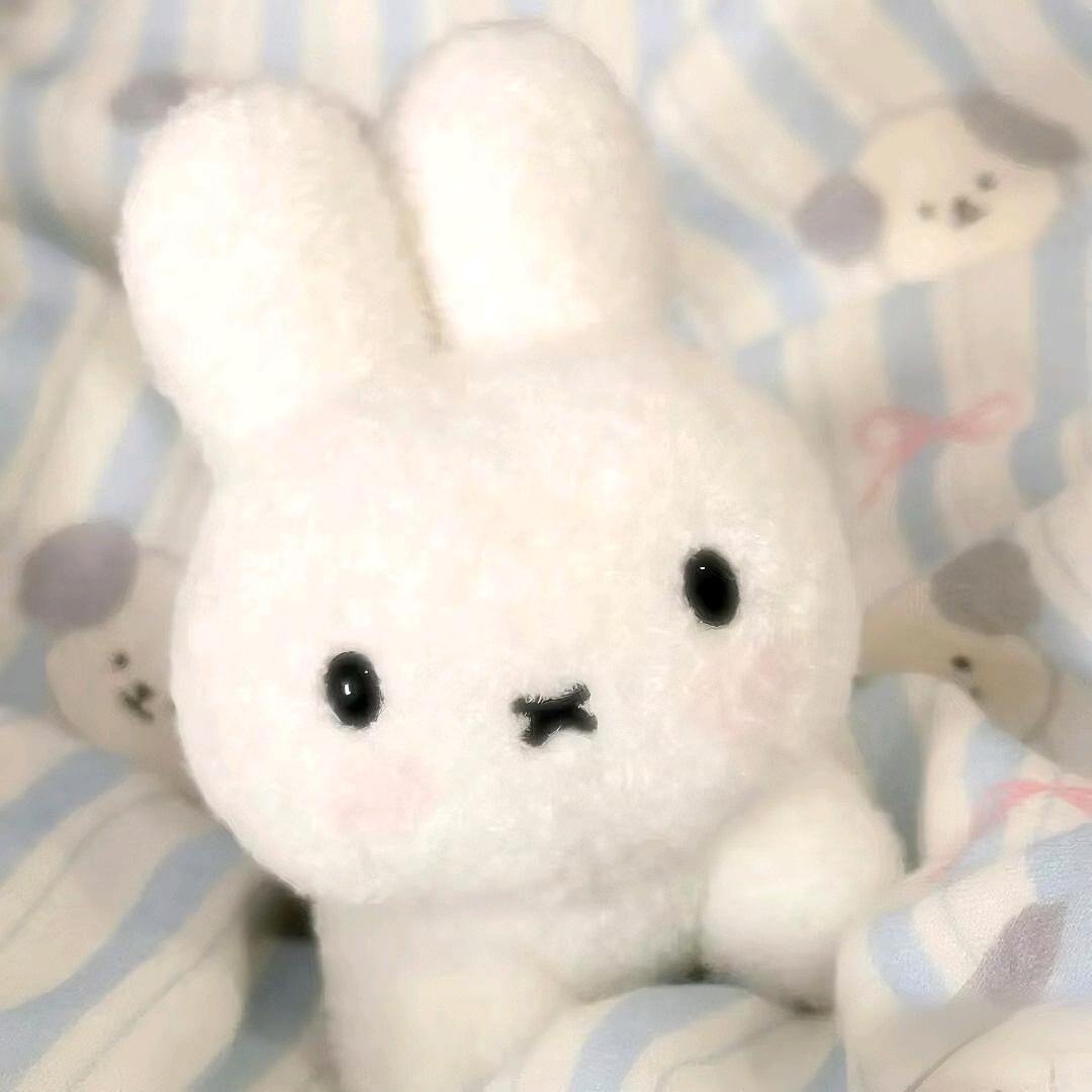 卷卷🐰～