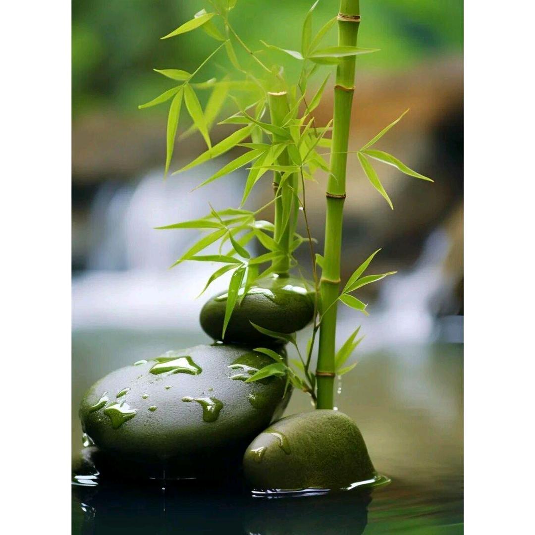 龙欣特殊车改装