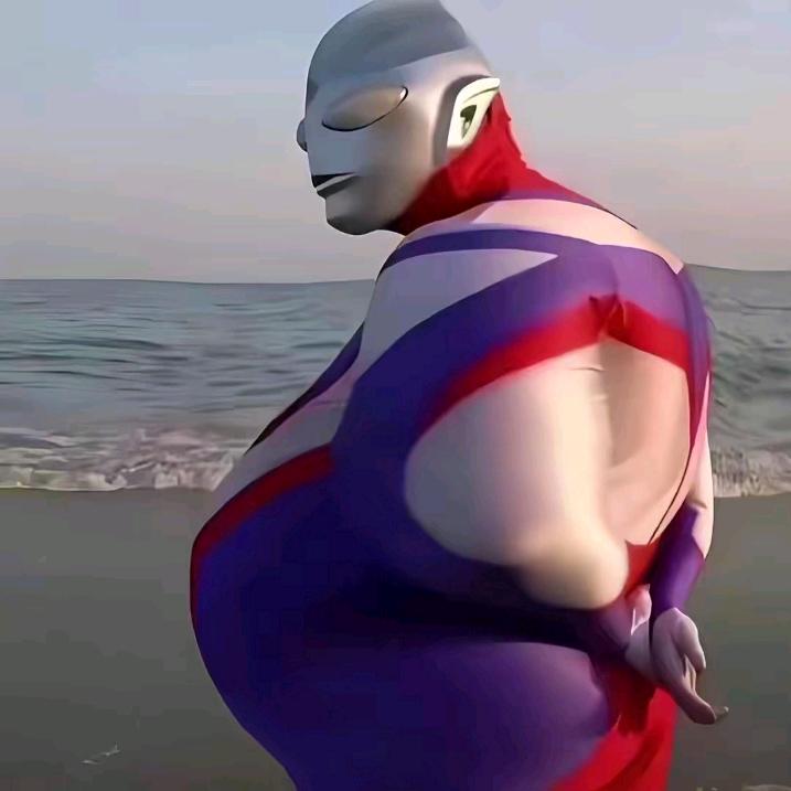 司丹康