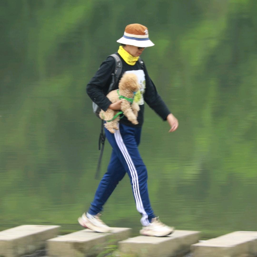 我和一只小狗的旅行日记