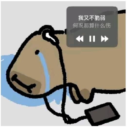 不想失眠🫧