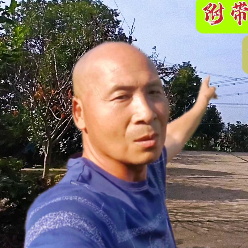 杨家锅锅找房