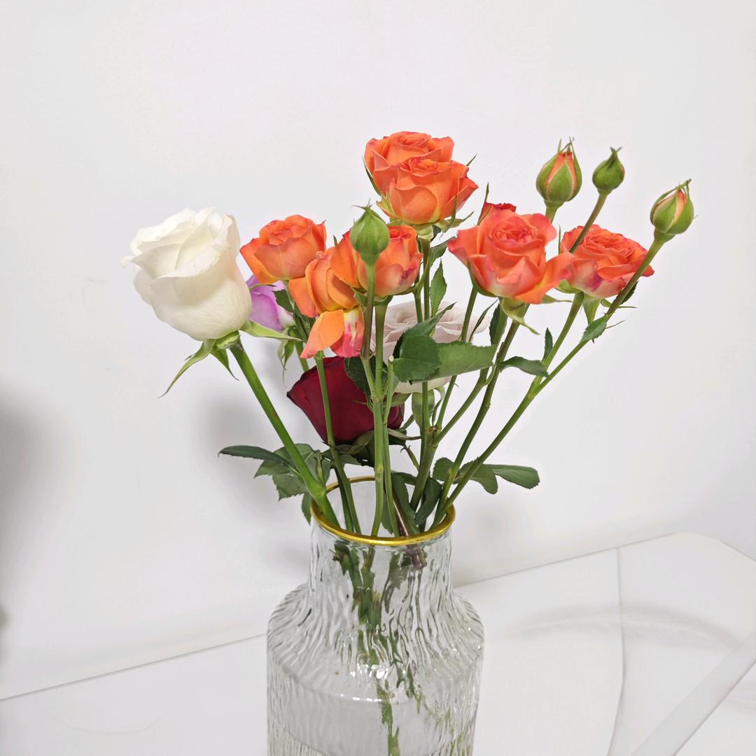 重生之我要减肥