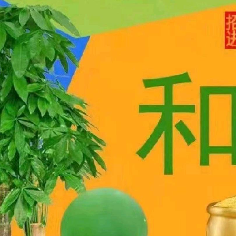 美汐413