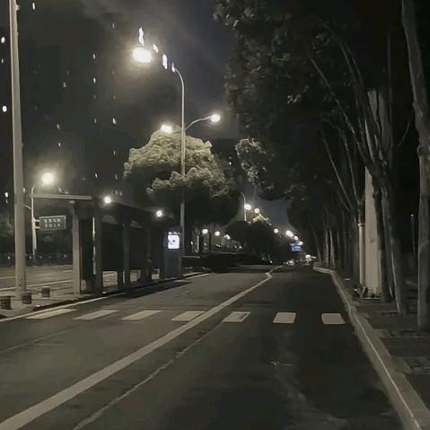 @零叶来了