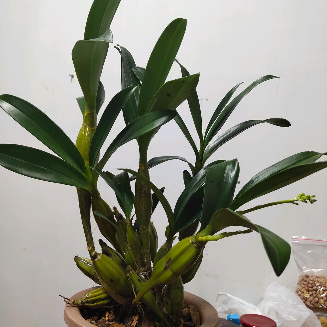 清水河