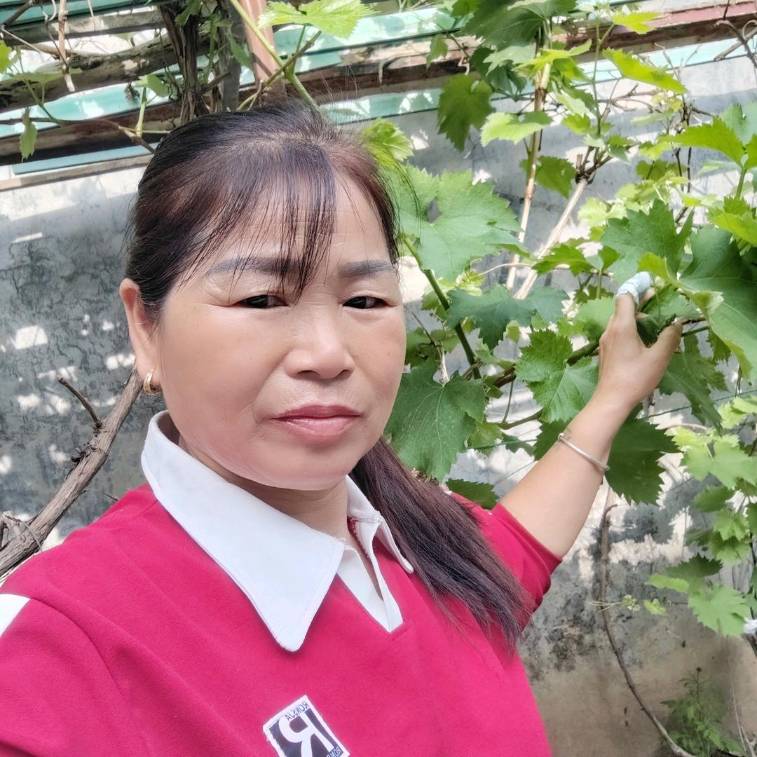 六零后赵姐