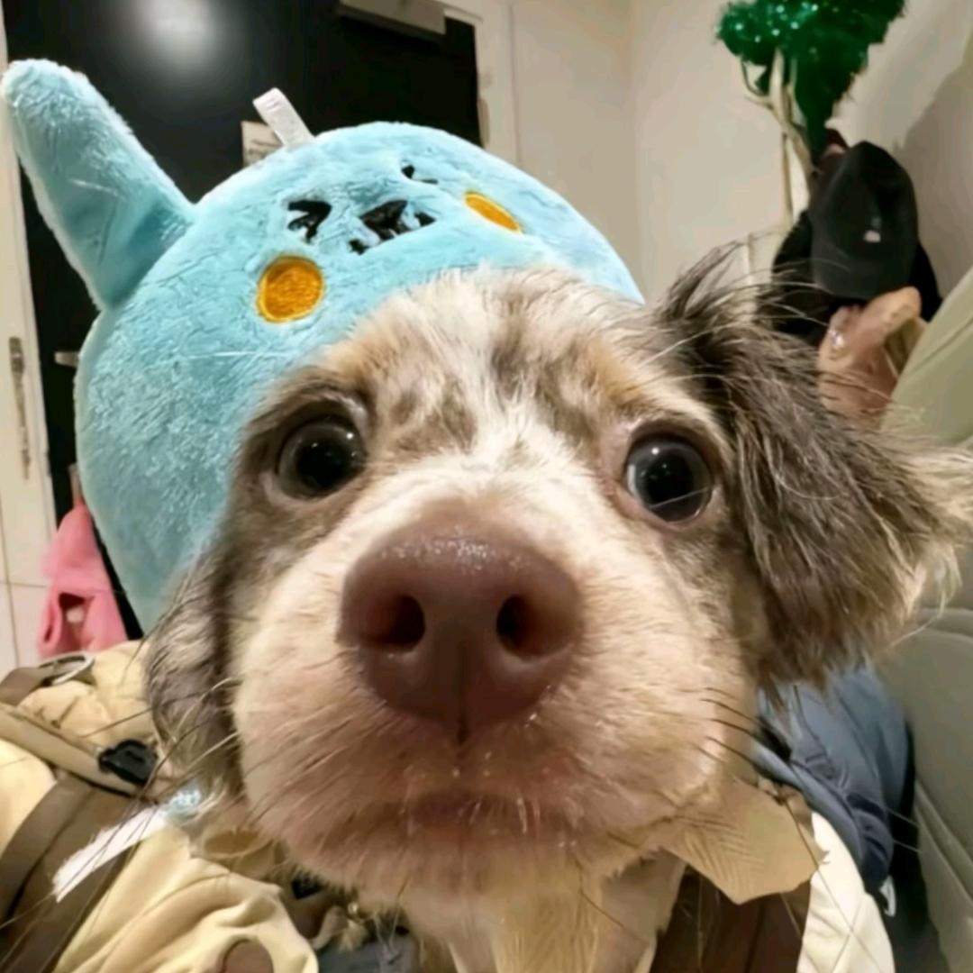 我嫌你发🌟费🔋