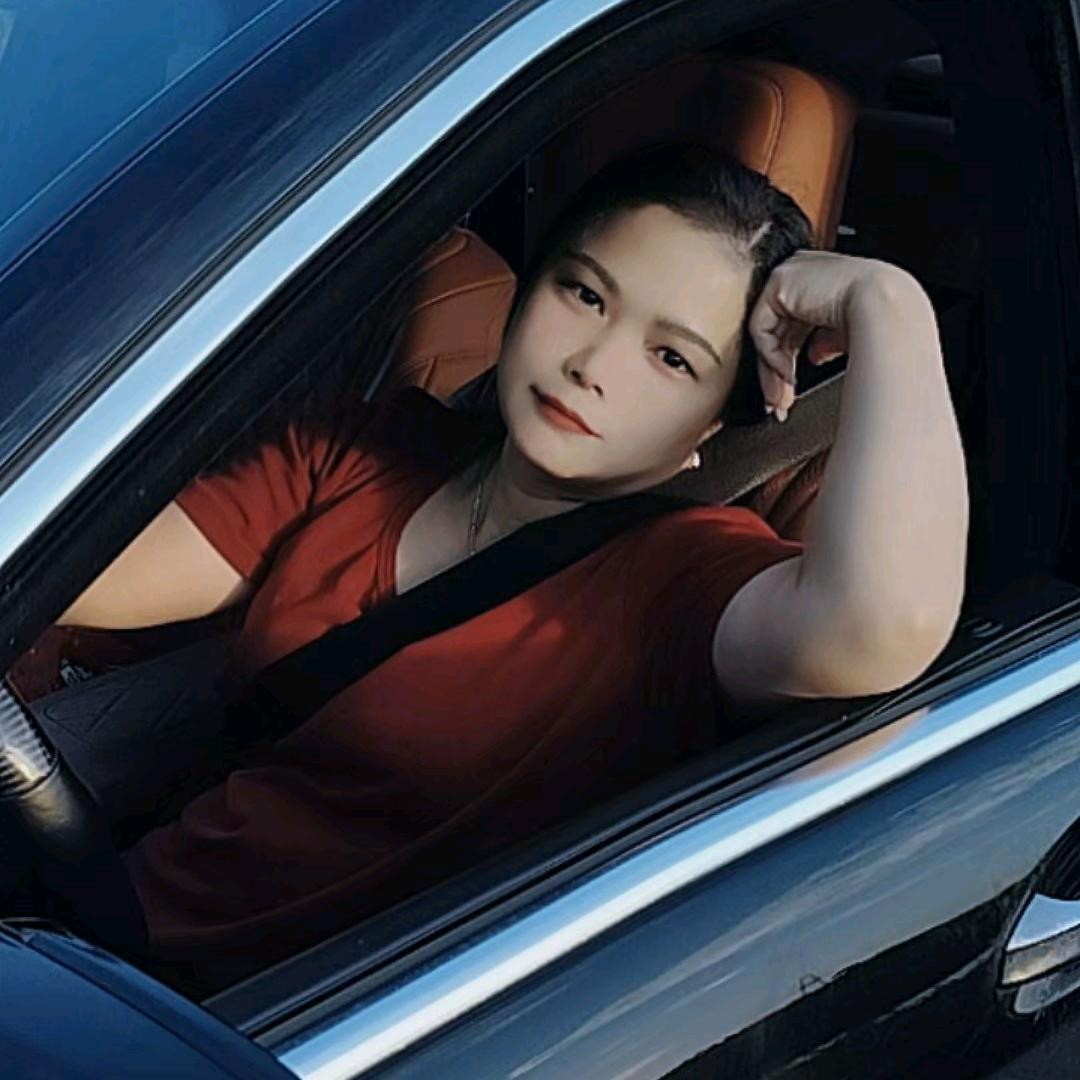 清远车管业务代办