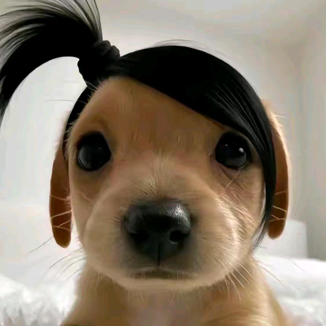 小欧(-^〇^-)头像