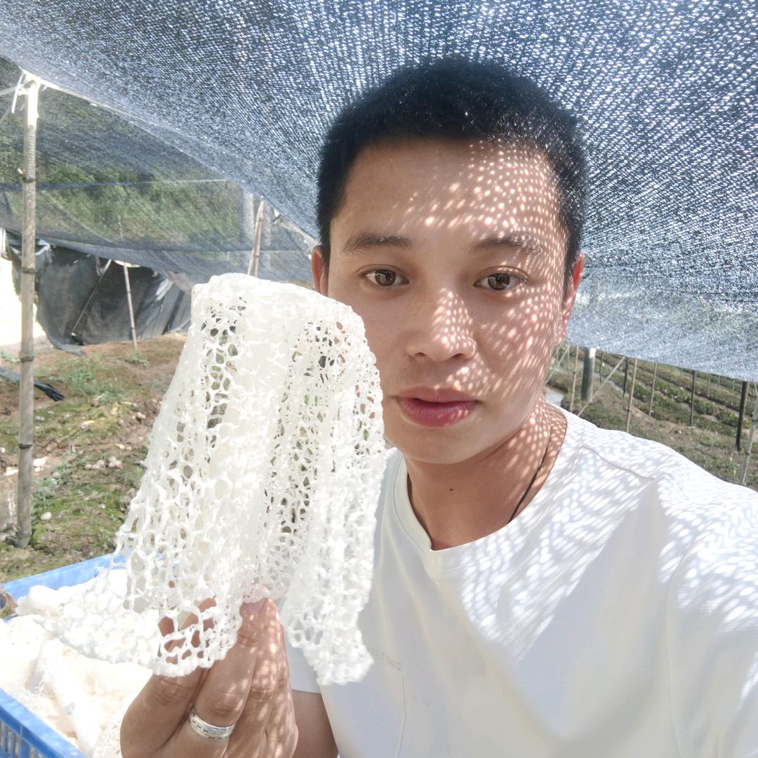 菌城优品