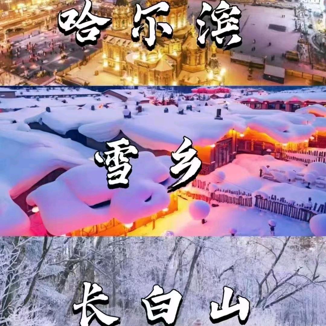 哈尔滨冰雪交友游