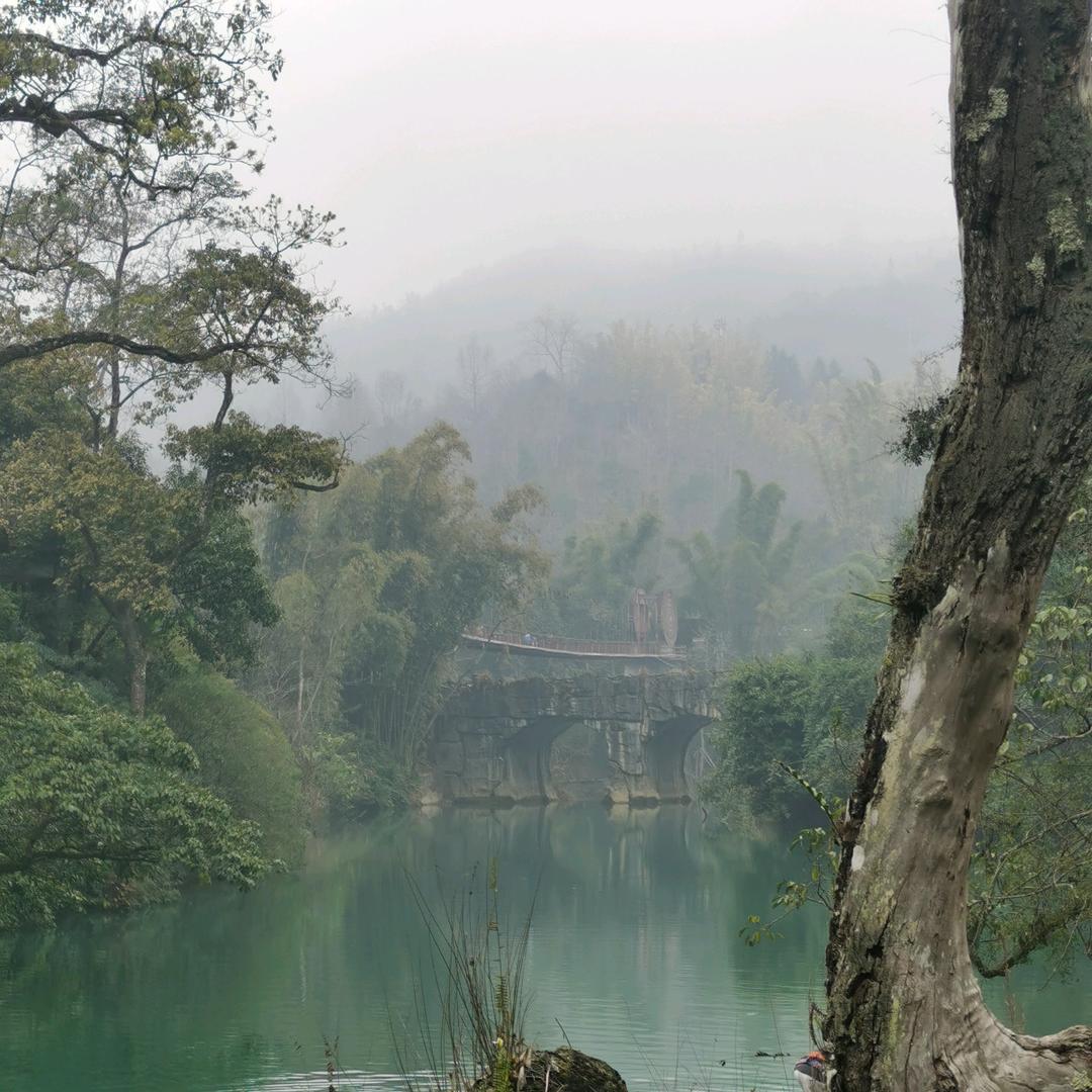竹迹清欢