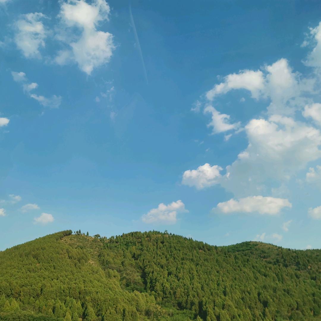 邱阿浩