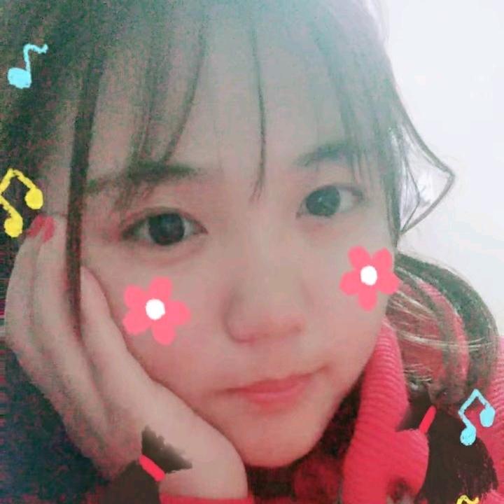 视界旅行