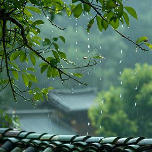 🧚‍♀️🥰🥰小钱景😍😍🧚