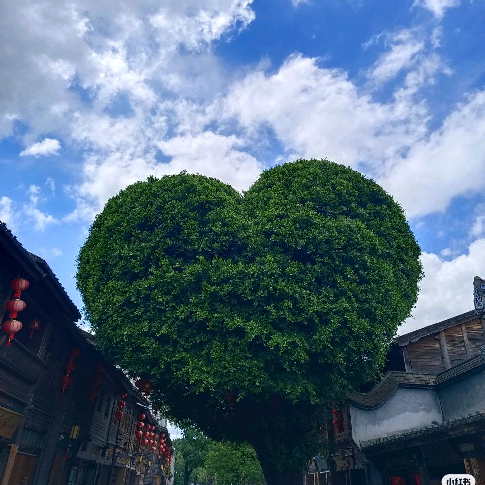 平潭岛*团建策划师*包车*旅拍