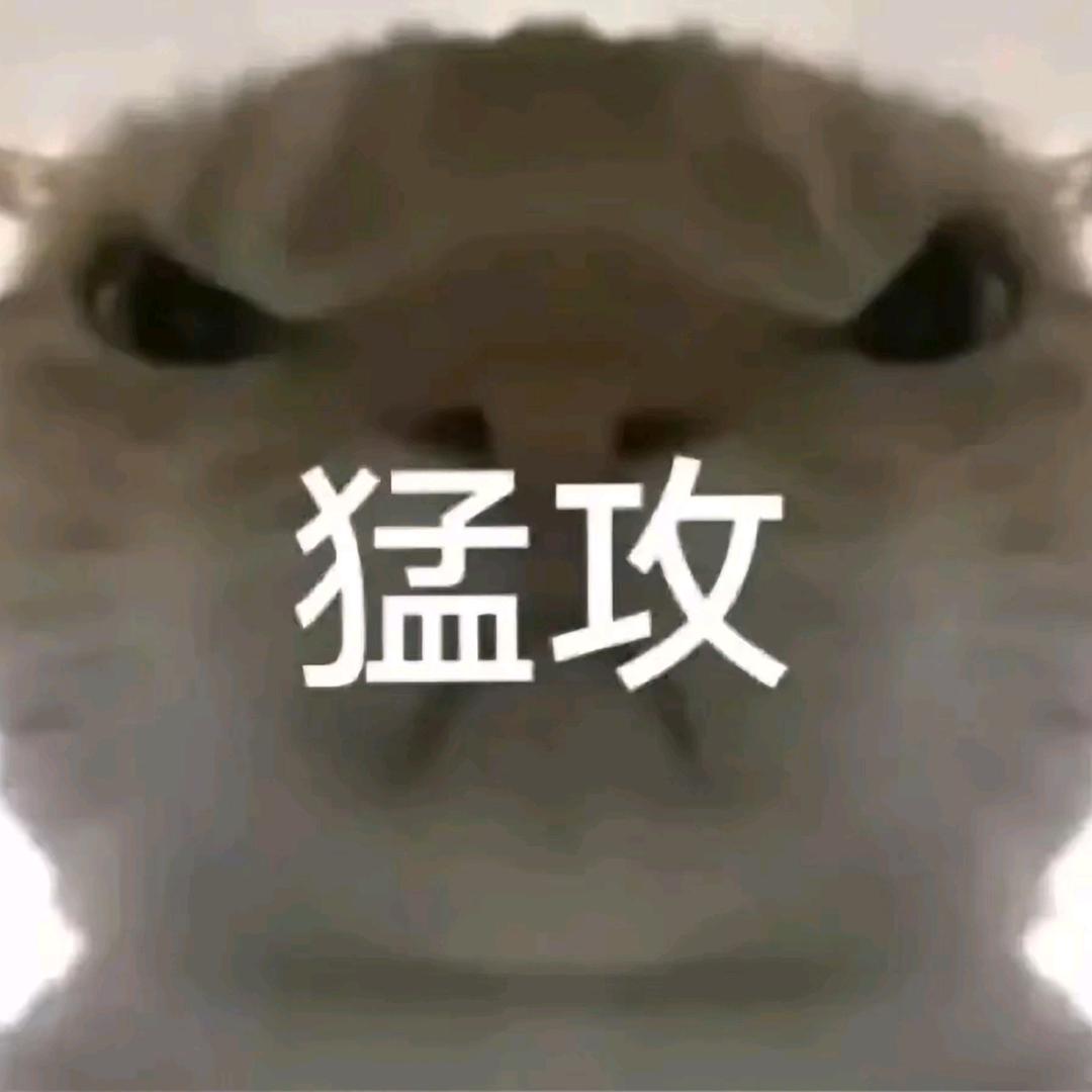 宇凡Zzz