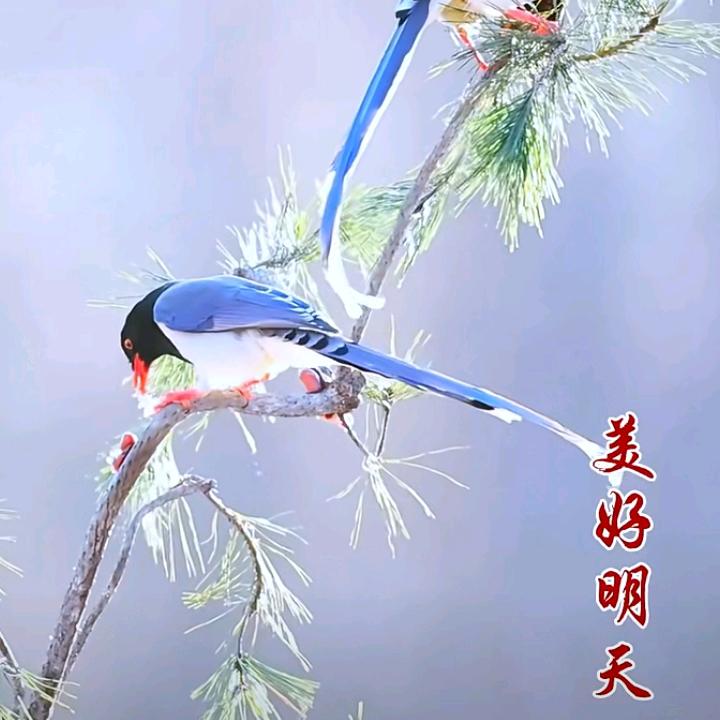 苦尽甜来