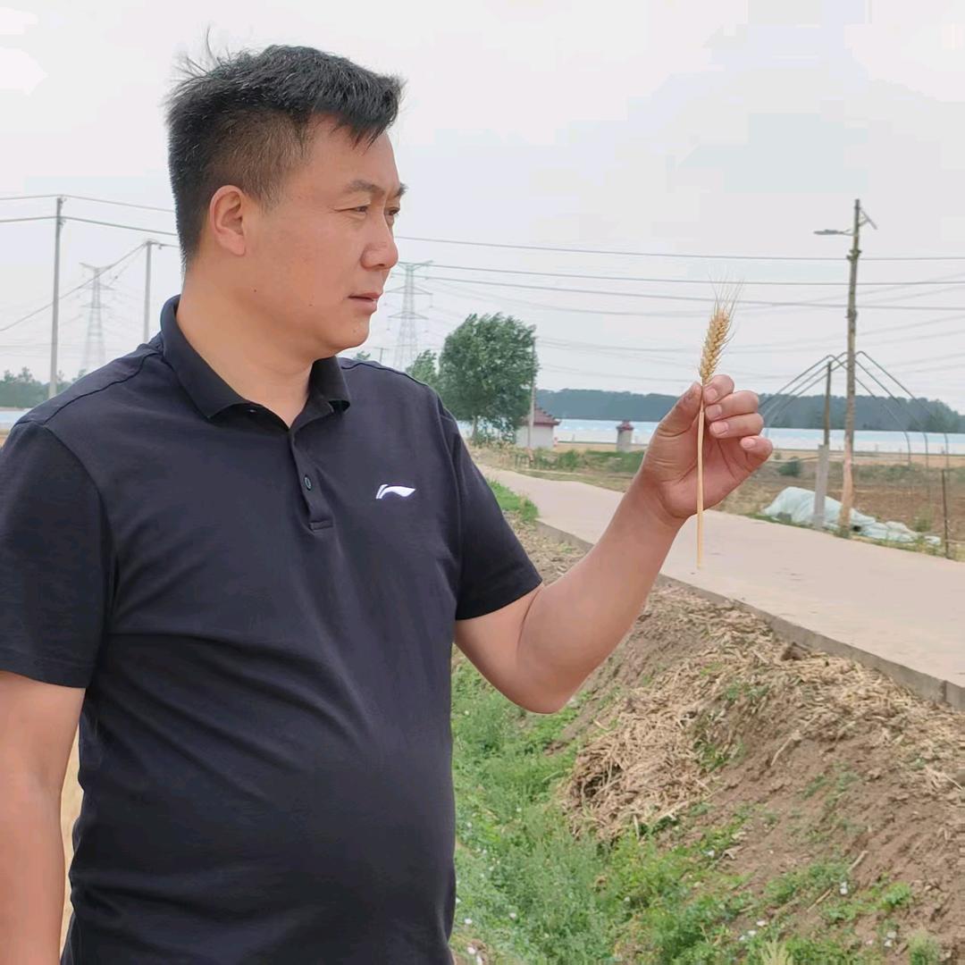 礼尚往来（王永军）