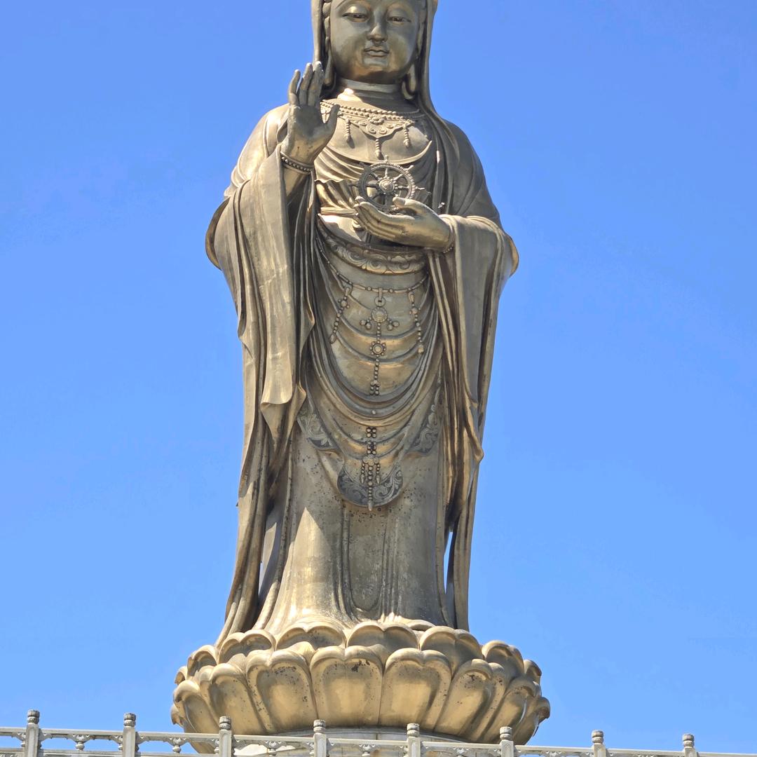 汪哥
