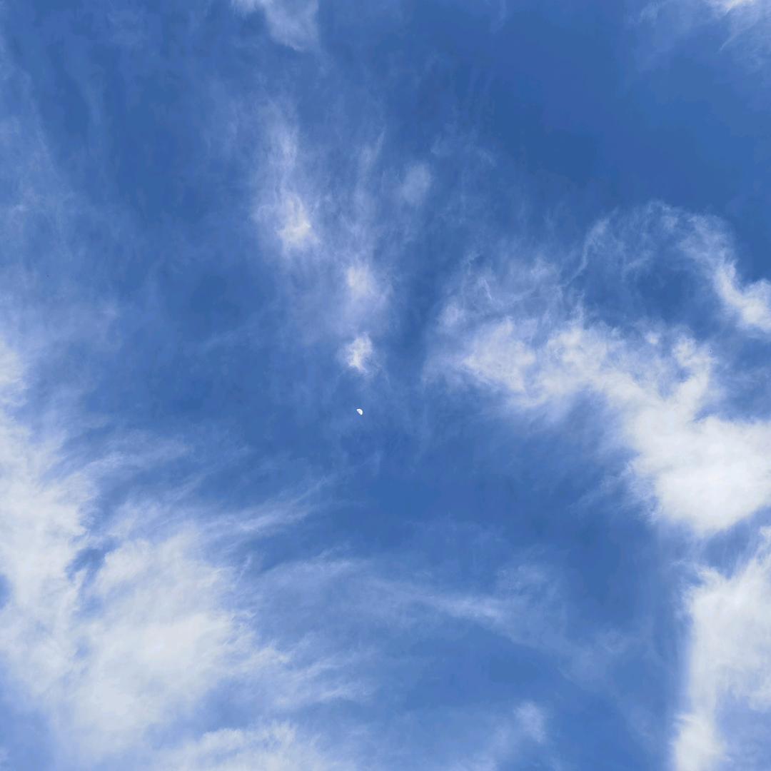 昱笑颜