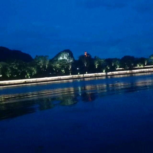 鲤鱼哥