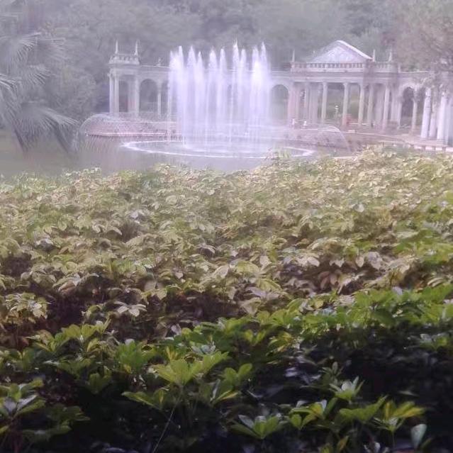 红石榴