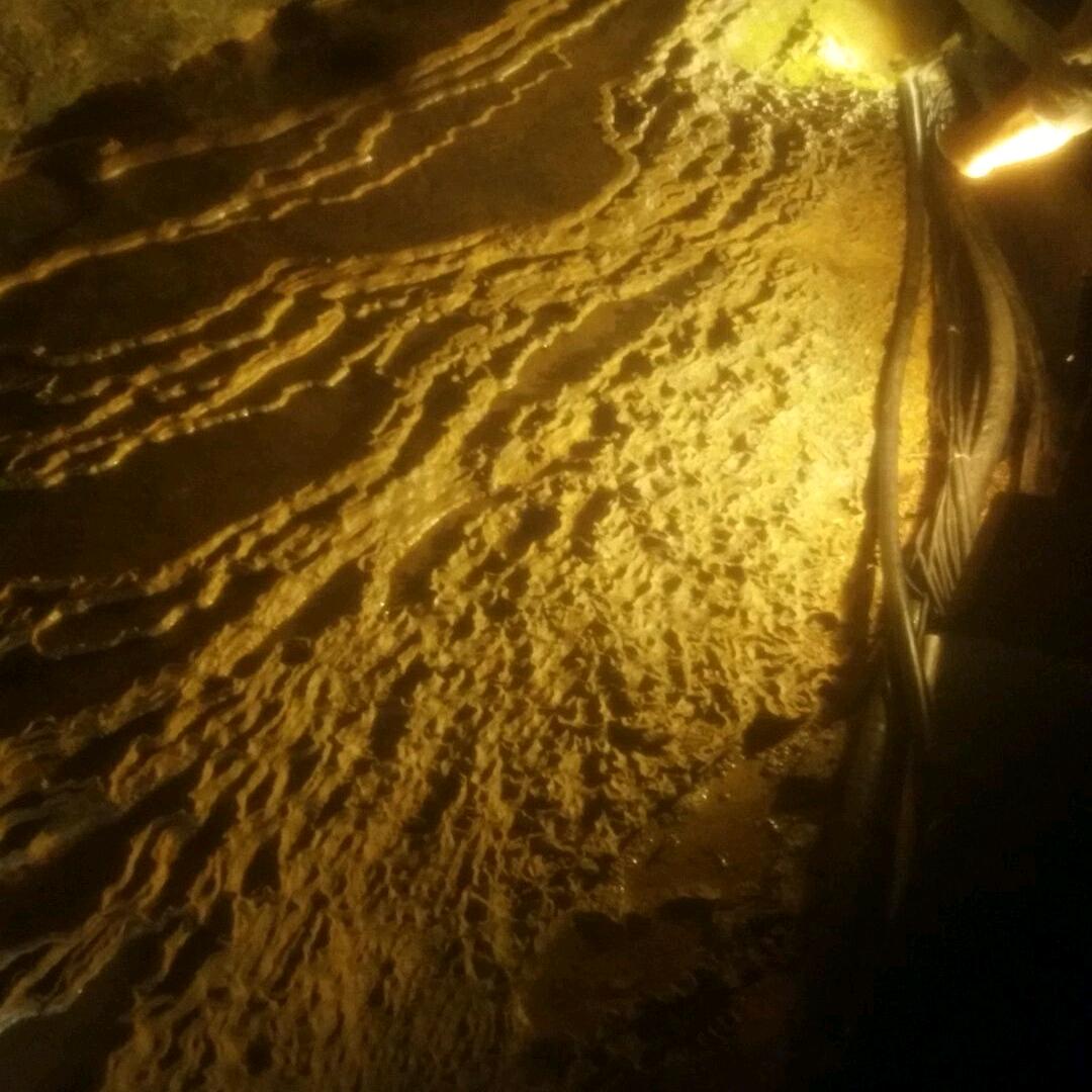 愿苦尽甘来