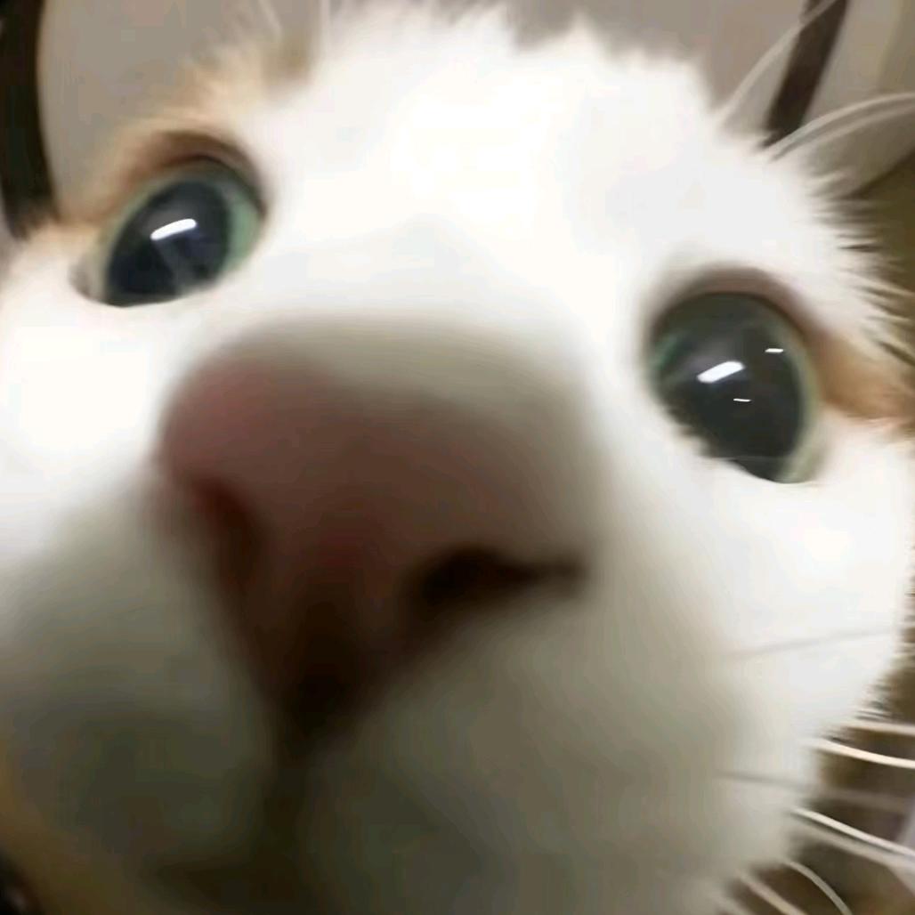 難楠