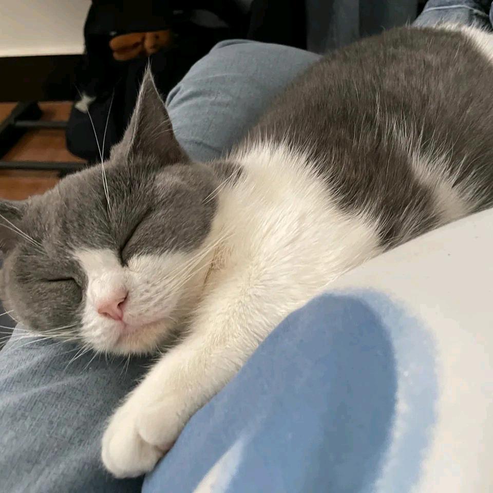 07年小伙创业养羊