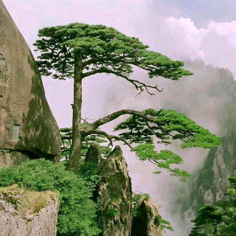 山野村夫