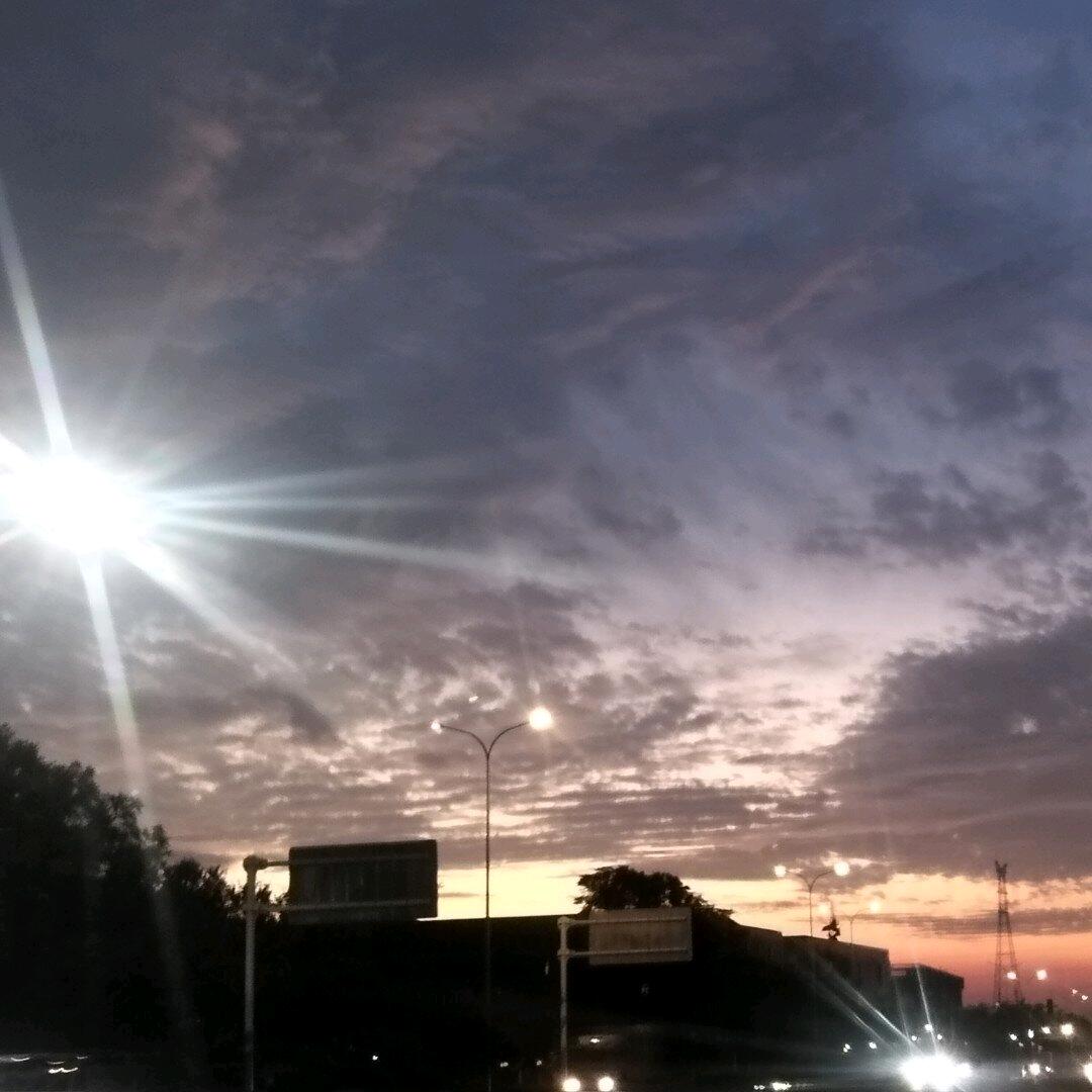 你凭啥不爱吃香菜