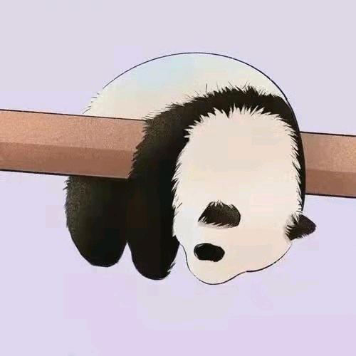 阳光.