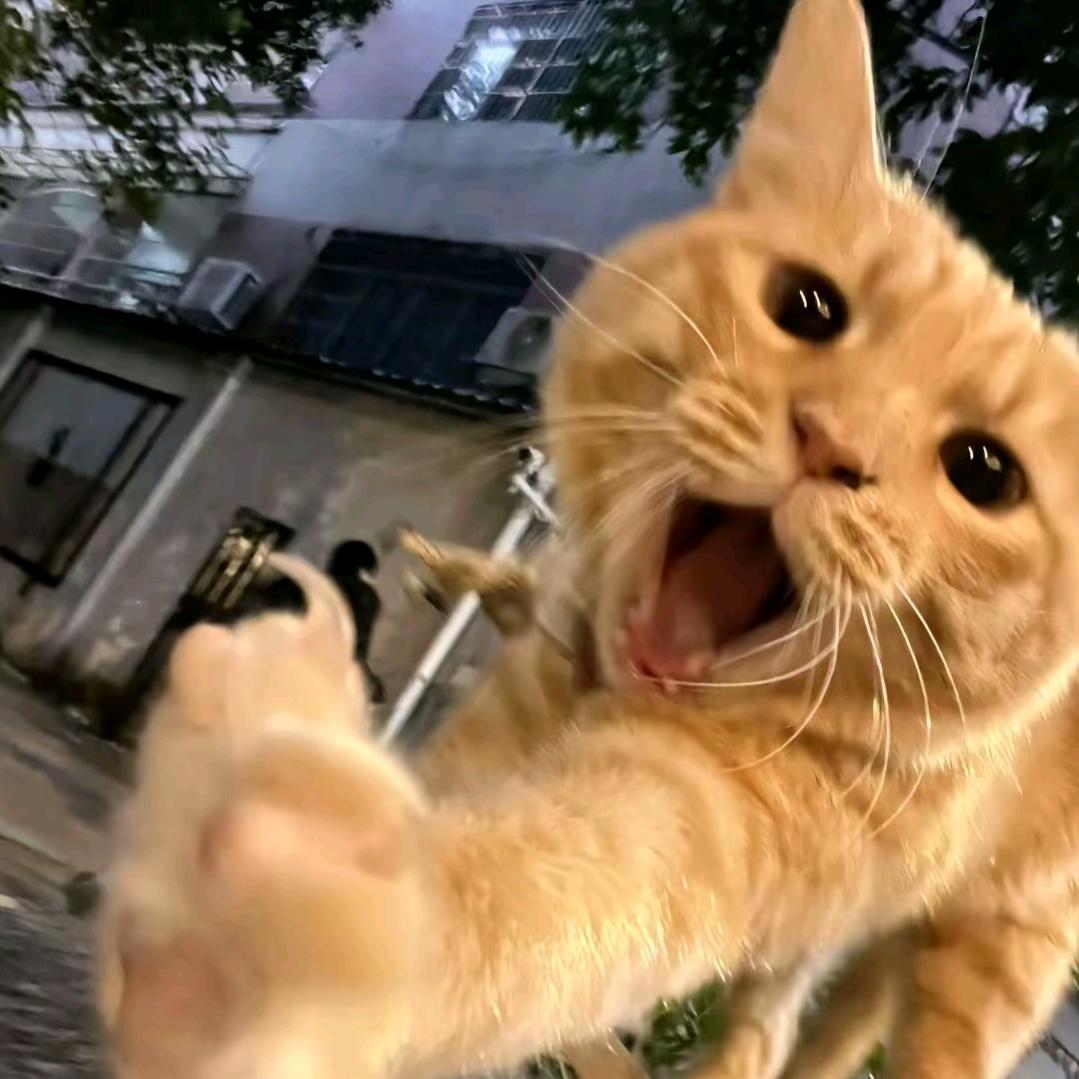 F.