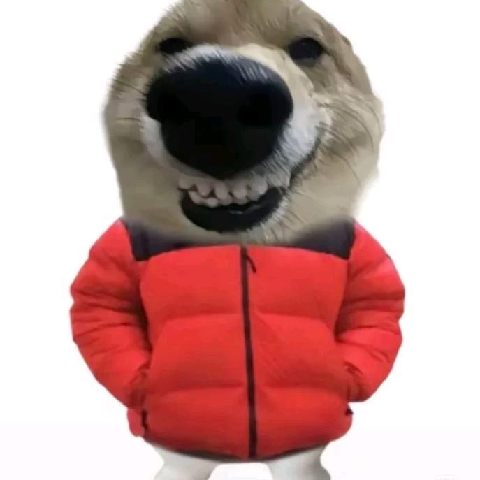 皇帝