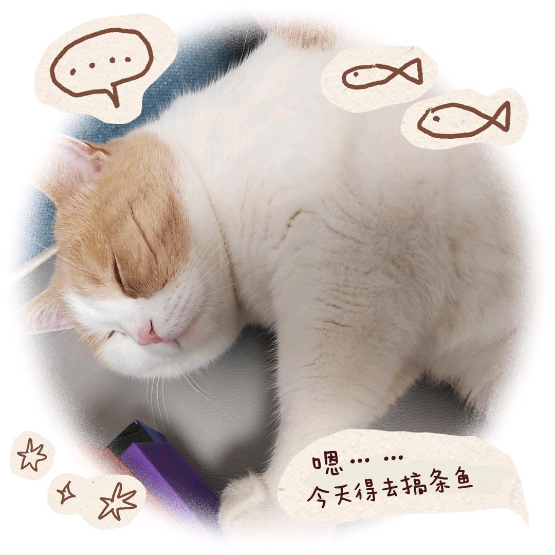 壮壮的慌慌