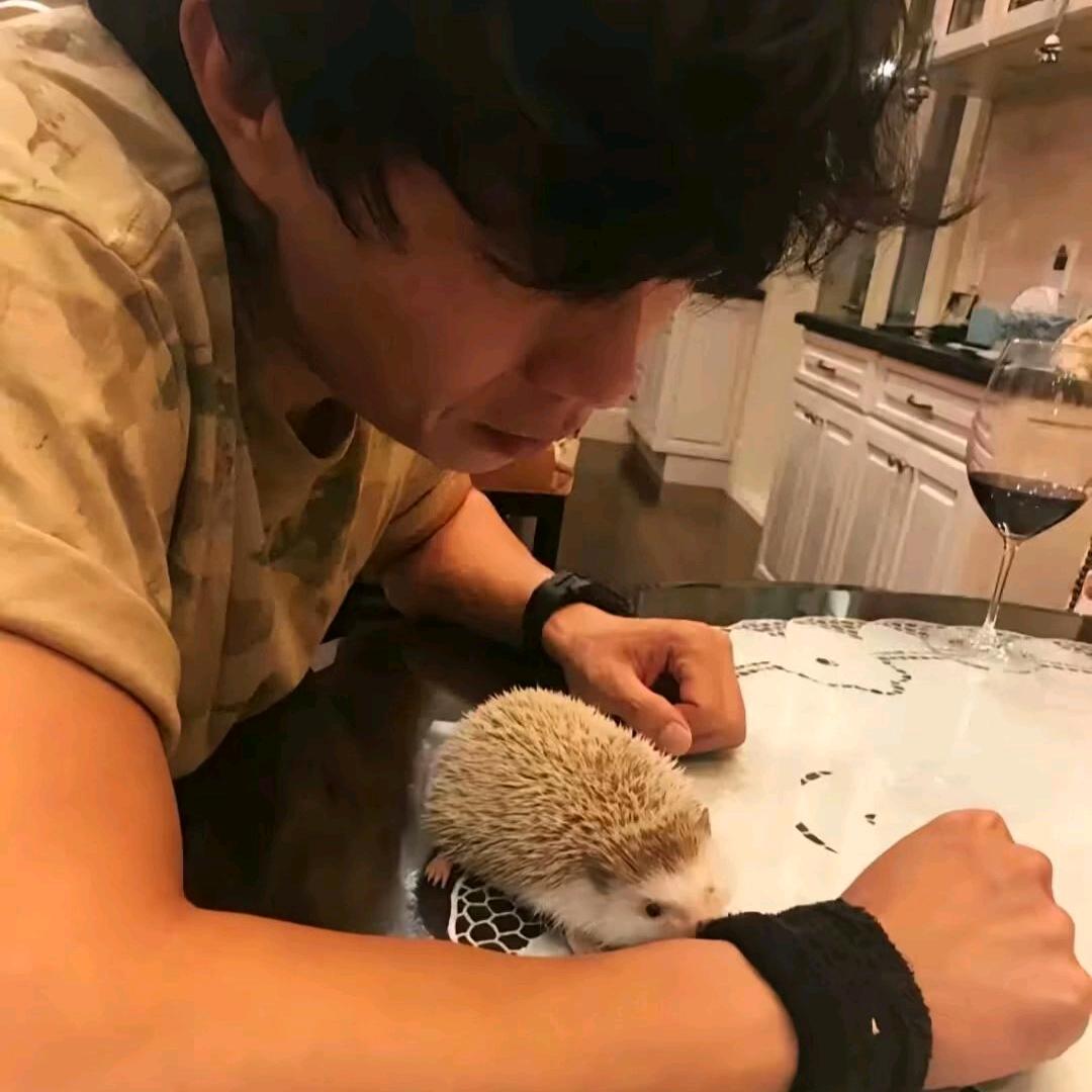 ㅤ￴￴ ￴ ￴ ￴ ￴ ￴ ￴￴