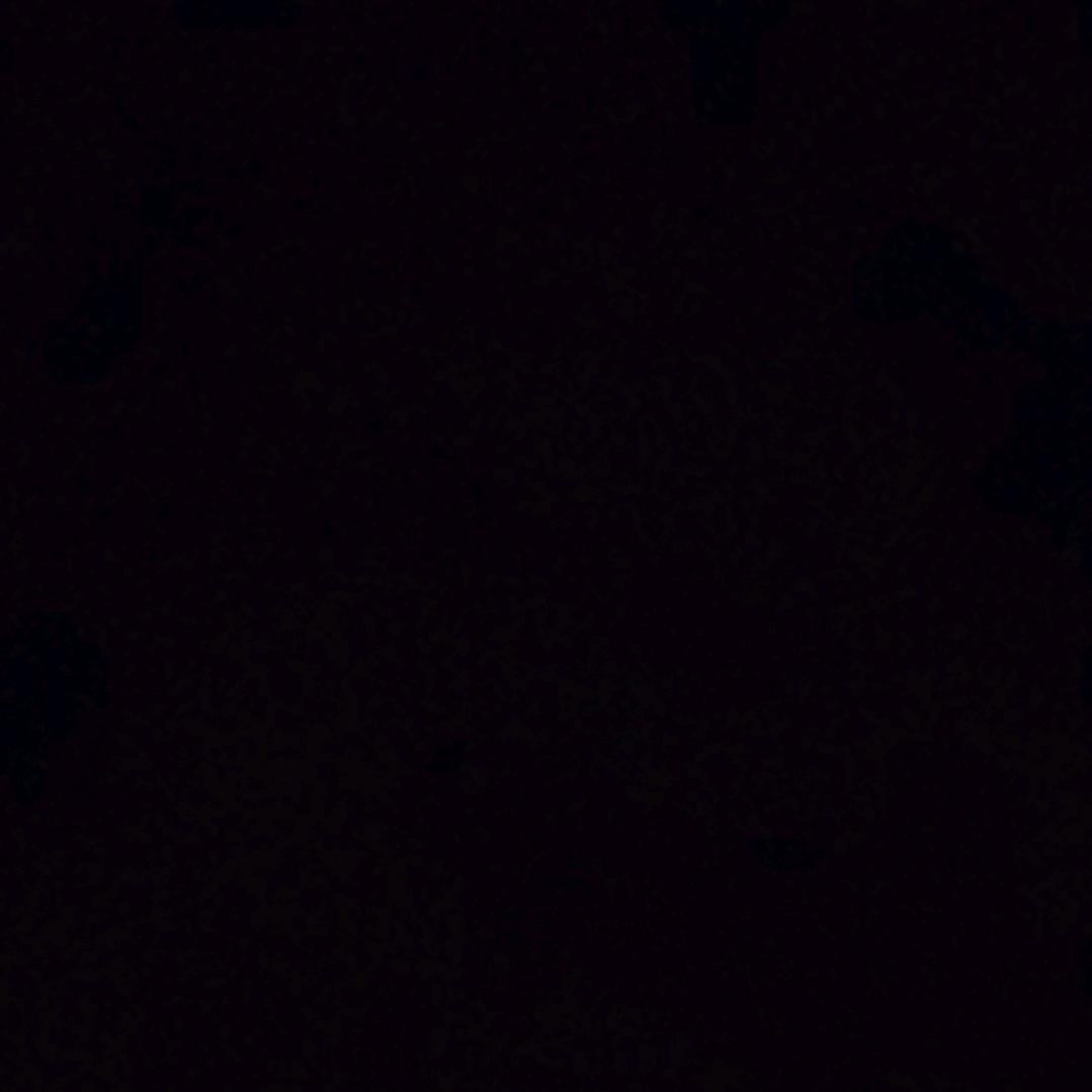 新奇