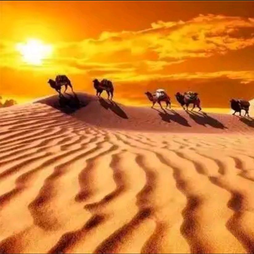 星星知我心！