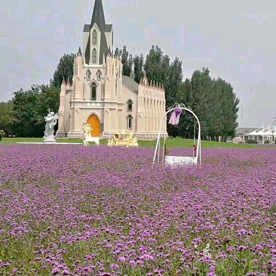 岁月静好